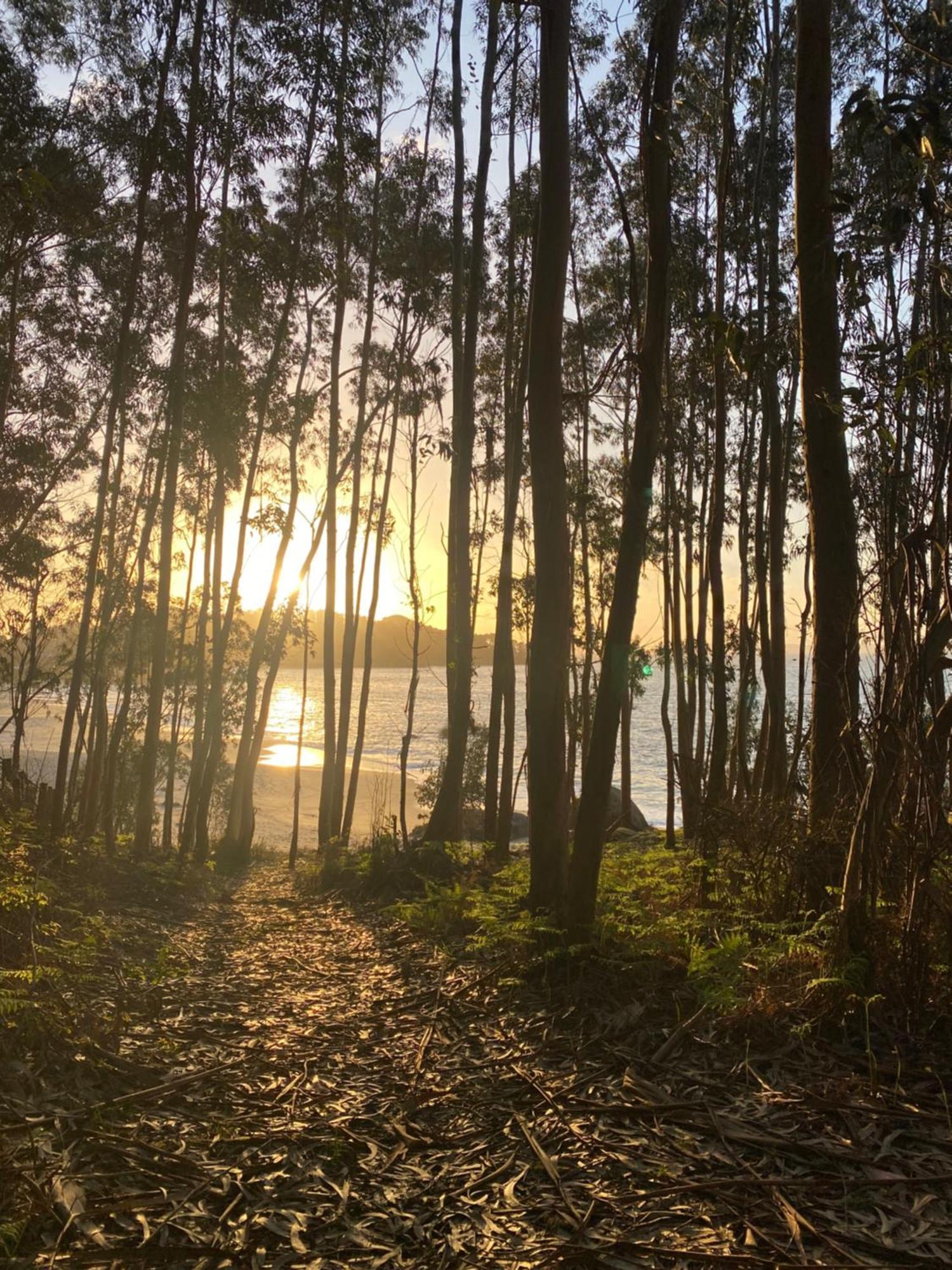 Rincon De Lagos, Bueu Pontevedra Kültér fotó